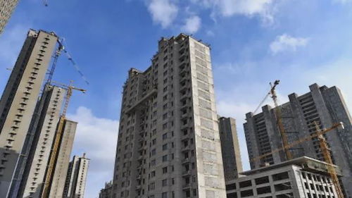小宇房产经济怎么样(小宇房地产开发有限公司)