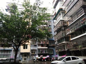 莒县三姐房产怎么样(莒县三姐房产怎么样啊)