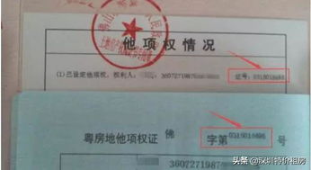 房产证密码怎么解除不了(房产证密码忘记了怎么办)