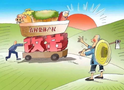 集体私房产权怎么处理的(集体产权的房子受法律保护吗)