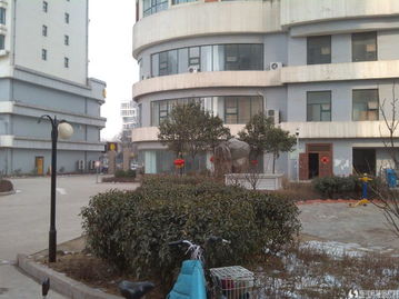 乳山小太阳房产怎么样(山东小太阳幼教集团)