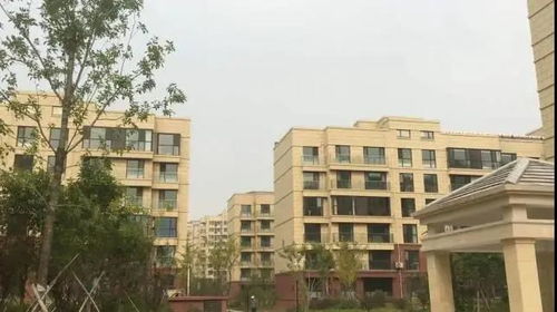 潍坊德旭房产怎么样(潍坊德旭房产怎么样啊)