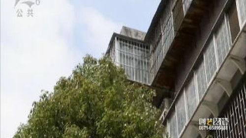 安陆父母无房产怎么继承(安陆父母无房产怎么继承房子)