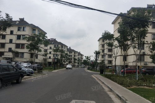 长垣大杨哥房产怎么样(大杨哥是干什么的)