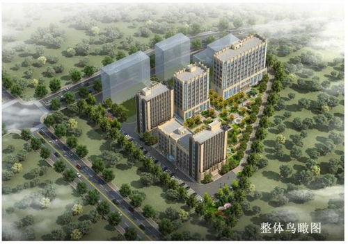 胶州辰哥房产怎么样(胶州辰哥房产怎么样呀)