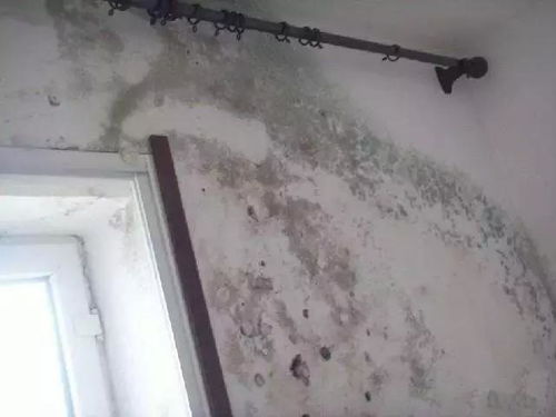 房产不补漏要怎么做(房产不补漏要怎么做防水处理)