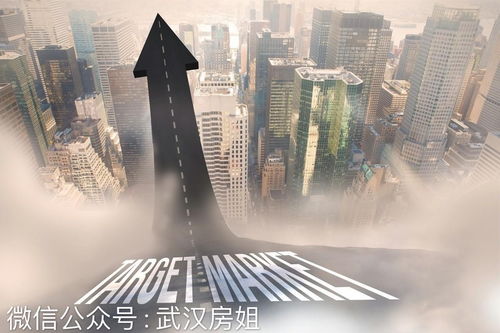 资阳潘大姐房产怎么样(资阳潘大姐房产怎么样呀)