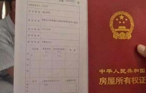 房产证明没了怎么办理(房产证明没了怎么办理手续)