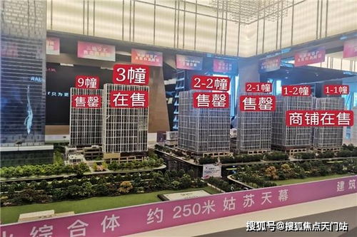 苏州阿俊房产怎么样(苏州俊家房产电话)