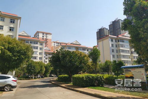兰溪教师楼房产怎么样(兰溪教师楼出售)