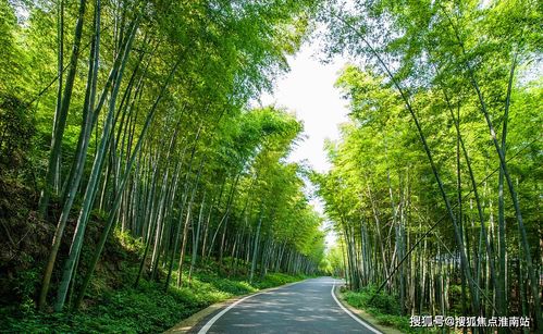 龙哥房产超市怎么样(龙哥大哥电话)
