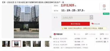 法院拍卖房产统计怎么查(法院拍卖房产统计怎么查不到)