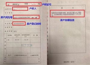 房产证上怎么确定份额(房产证上怎么确定份额是多少)