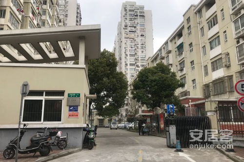 莘县宏冉房产怎么样(宏冉地产)