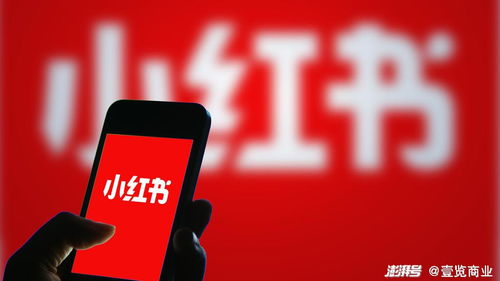 小红书怎么注册房产公司(小红书公司怎么注册官方号)