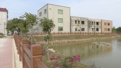 惠来房产连城花园怎么样(惠来县连城村)