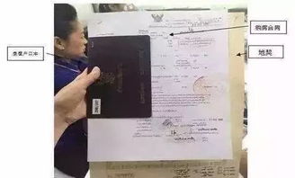 怎么购买地块房产证呢(买地流程)