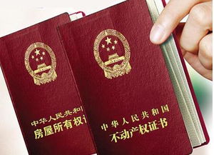 怎么租到国资房产证(怎么租到国资房产证呢)