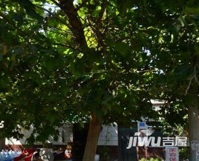 平阴房产市场怎么样啊(平阴房源)