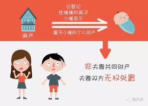 在小孩名下的房产怎么查(孩子名下的房产)