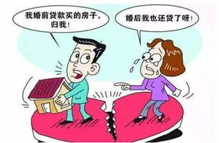共有房产离婚怎么判决的(共有产权房离婚怎么处理)