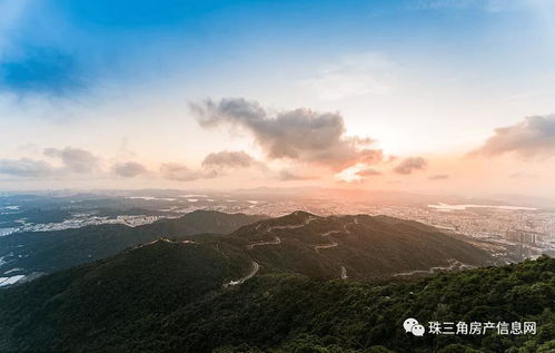 惠州房产交易怎么样(惠州房产交易中心咨询热线)
