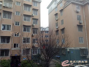 安庆南家房产怎么样(安庆南苑小区)
