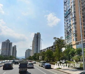 现在温州房产行情怎么样(现在温州房价的行情)