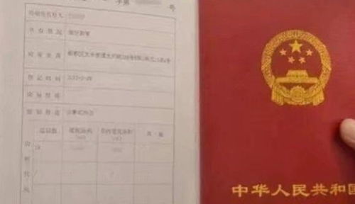 合肥房产证怎么网上查(合肥房产证怎么网上查不到)