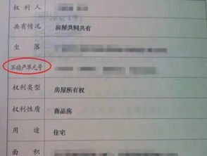 房产不动产到期怎么续约(不动产到期续期怎样收费)