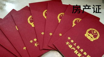 房产证怎么处置权(房权证的房子怎么交易)