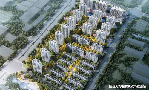 外地人怎么查上海房产(外地人怎么查上海房产证)