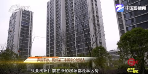 杭州昊华房产怎么样(昊华房地产代理公司)