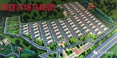 温州房产以后会怎么样(温州的房子还有升值空间吗)