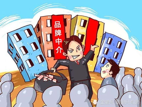 怎么能把房产中介做好(怎么才能把中介做好)