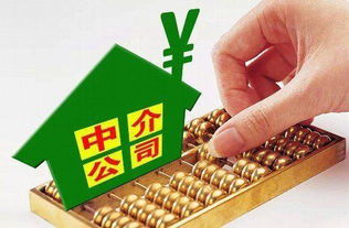 房产中介怎么服务费(房产中介的服务费都是怎么收费)