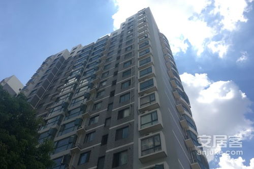 沈阳嘉禾禾房产怎么样(沈阳嘉禾地产)