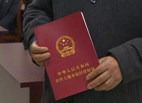 辛集市房产确权怎么查(辛集土地确权证什么时候发)