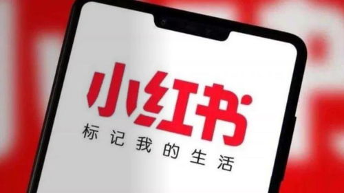 房产怎么入驻小红书平台(可以在小红书上推销房产)