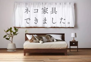 爱友家房产怎么样(爱友家具怎么样)