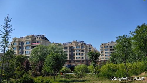 莘县房产市场怎么样啊(莘县房产网)