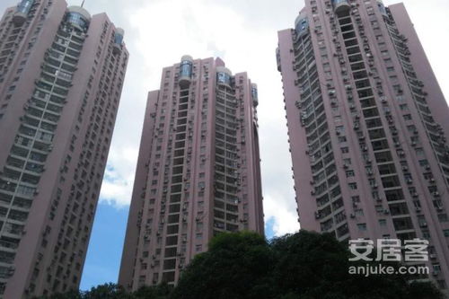 洪湖飞哥房产怎么样(洪湖飞哥房产怎么样啊)