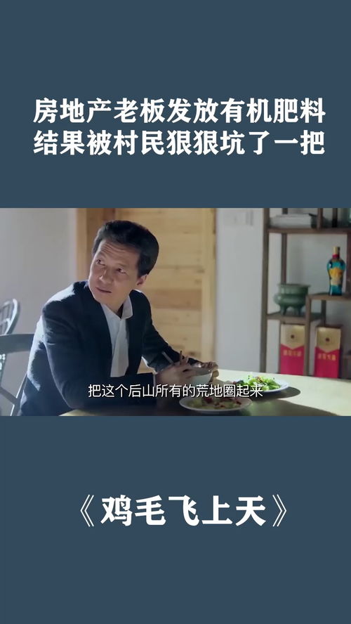 房产老总打业主怎么办(房产老总打业主怎么办呢)