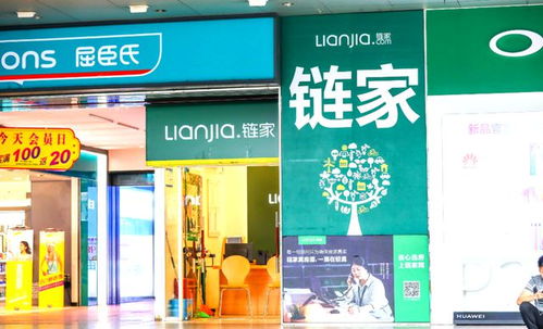 房产中介直播怎么操作的(房产中介直播卖房子)
