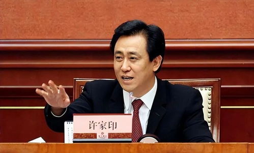 邵阳大汉集团房产怎么样(邵阳大汉集团董事长)