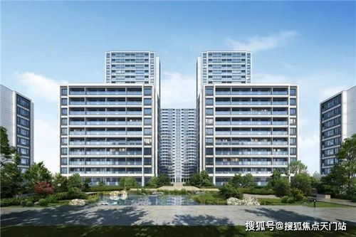 孟定房产行情怎么样(孟定镇房价)