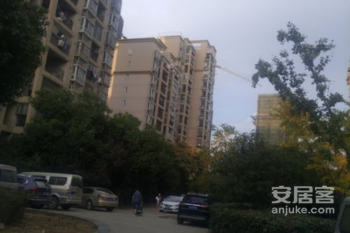 金坛小葛房产怎么样(金坛小葛房产怎么样啊)