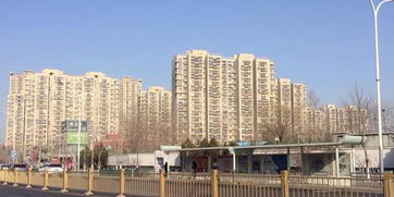 伊犁安之家房产怎么样(伊犁安之家房产怎么样知乎)