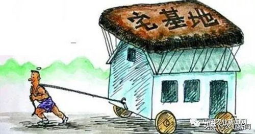 房产达人宅基地怎么过户(房产达人宅基地怎么过户给别人)