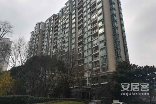 泰来聚洋房产怎么样(泰来聚洋房产怎么样啊)